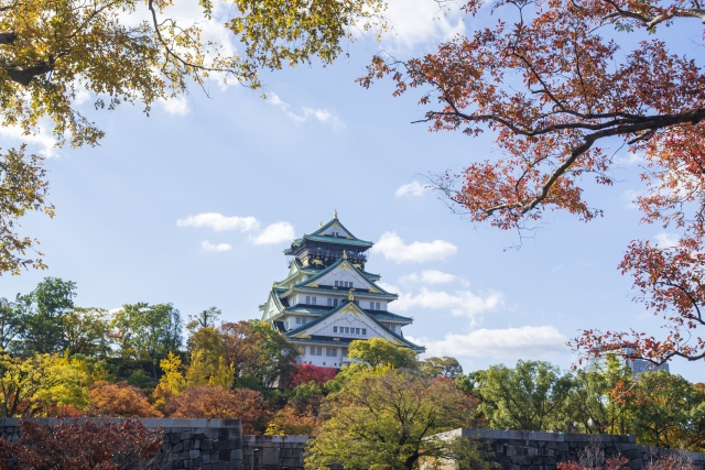 大阪城公園と紅葉