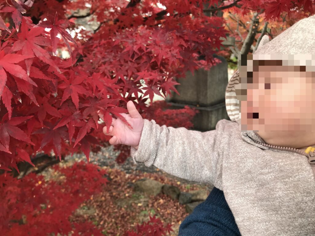 大阪城公園の紅葉（豊國神社）