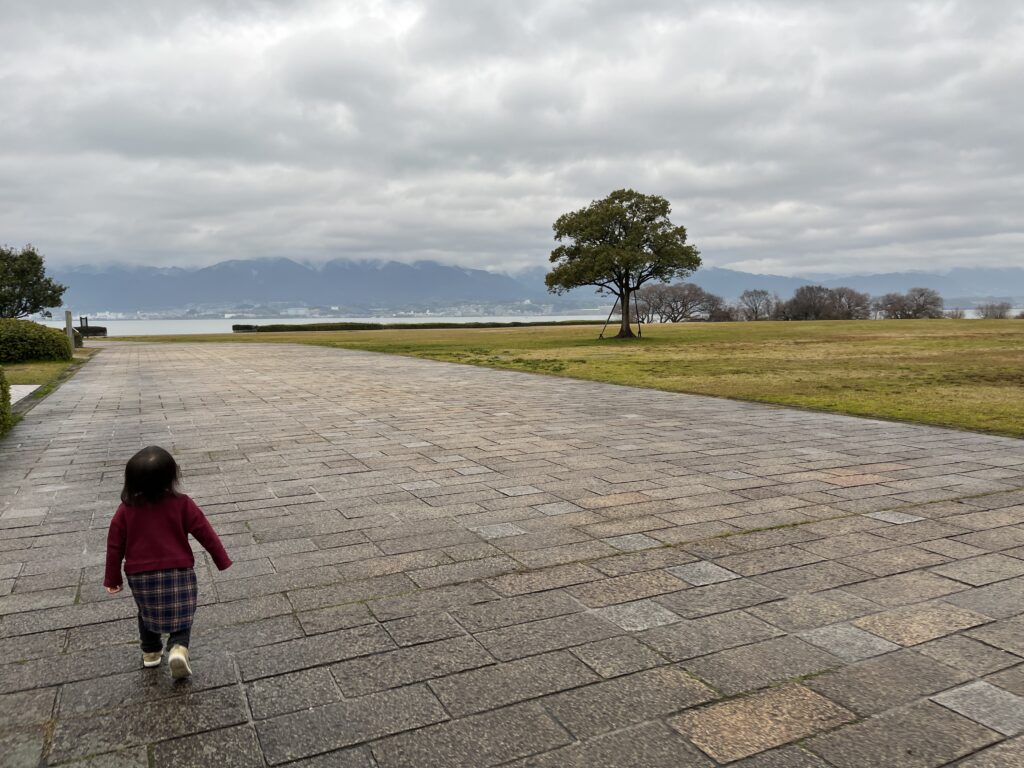 琵琶湖博物館駐車場横の芝生