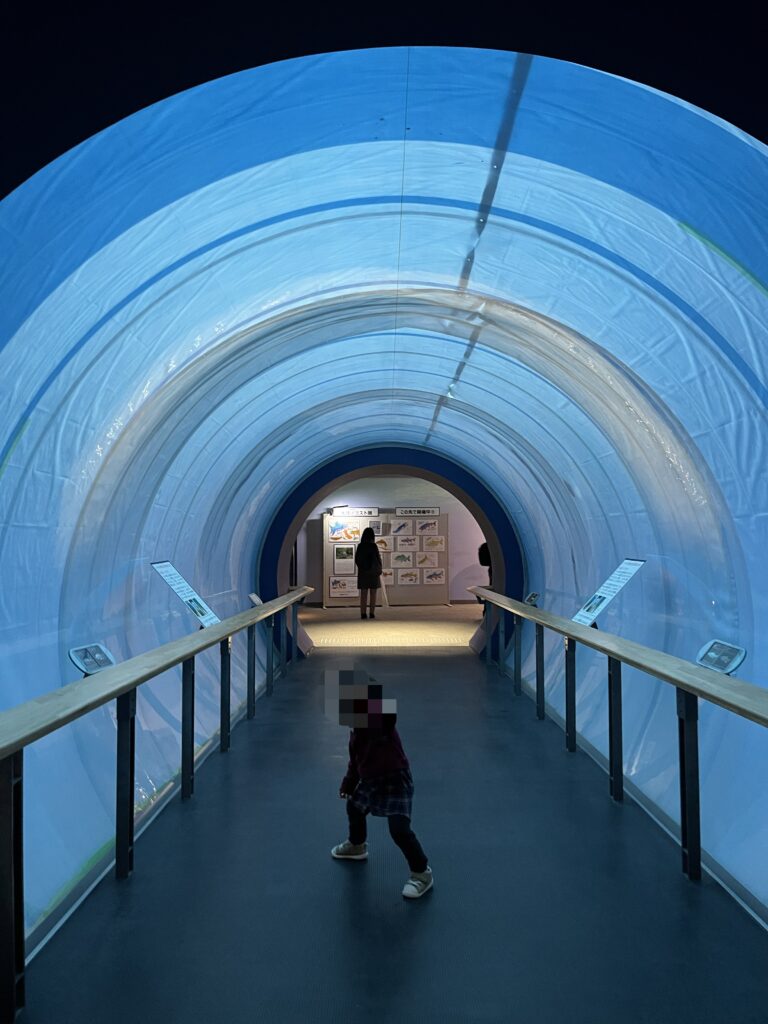 琵琶湖博物館　水族展示室　展示中止中のトンネル水槽