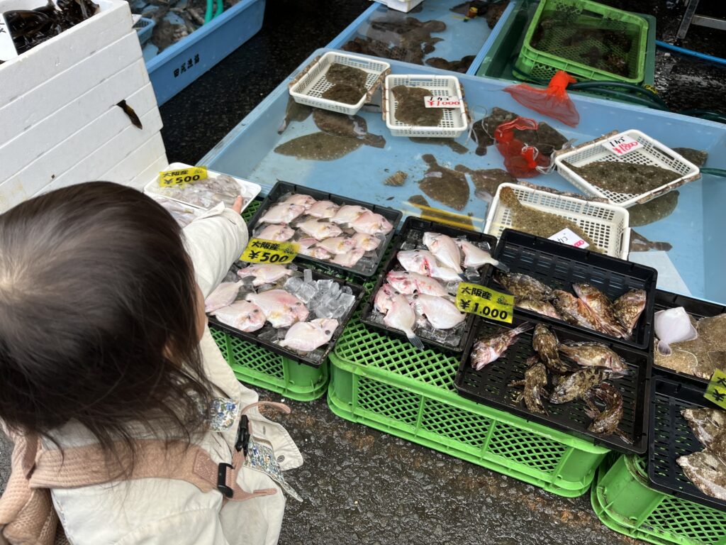 関西空港近く・子連れにおすすめな観光スポット　田尻日曜朝市で魚に興奮する娘